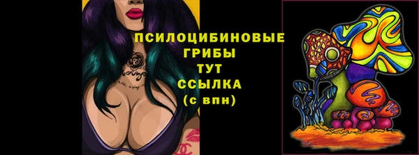 гидропоника Абдулино