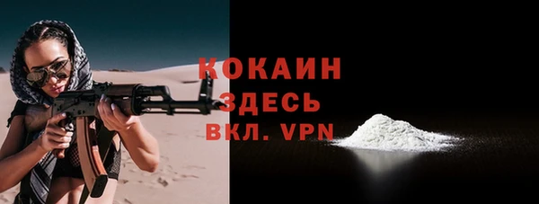 шишки Наволоки