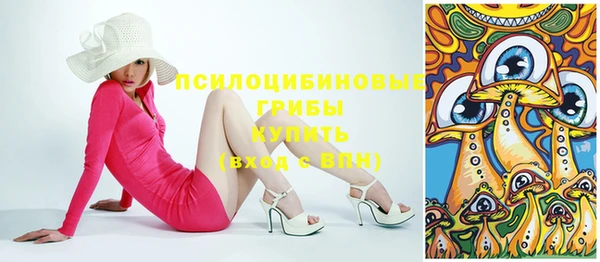 гидропоника Абдулино
