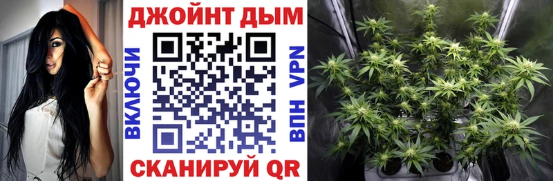Конопля SATIVA & INDICA  где продают   Энем 